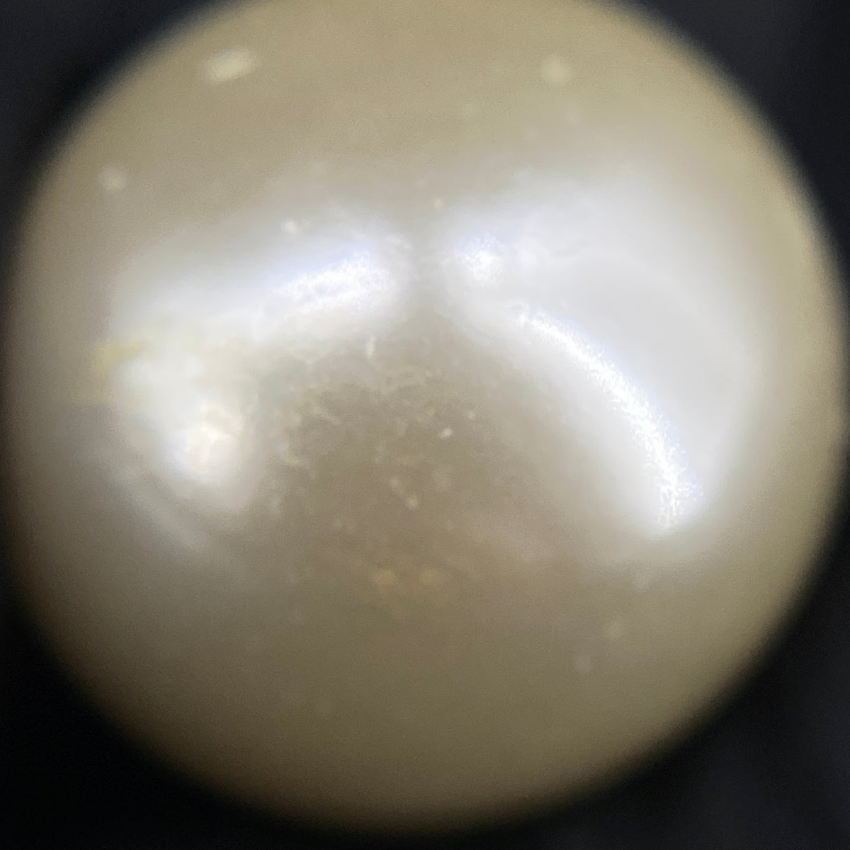 Christian Dior Gold Tone Double Pearl Stud Earrings