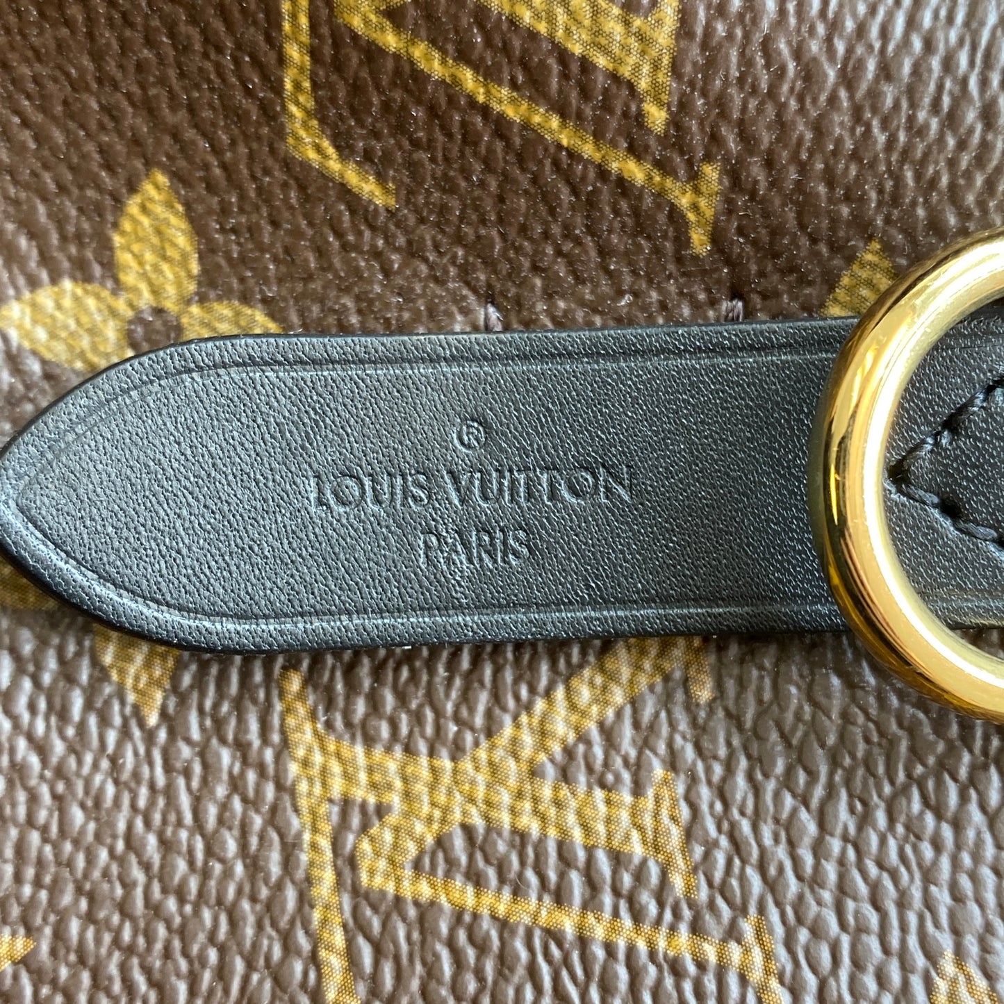 Louis Vuitton Monogram NeoNoe Bucket Shoulder Bag