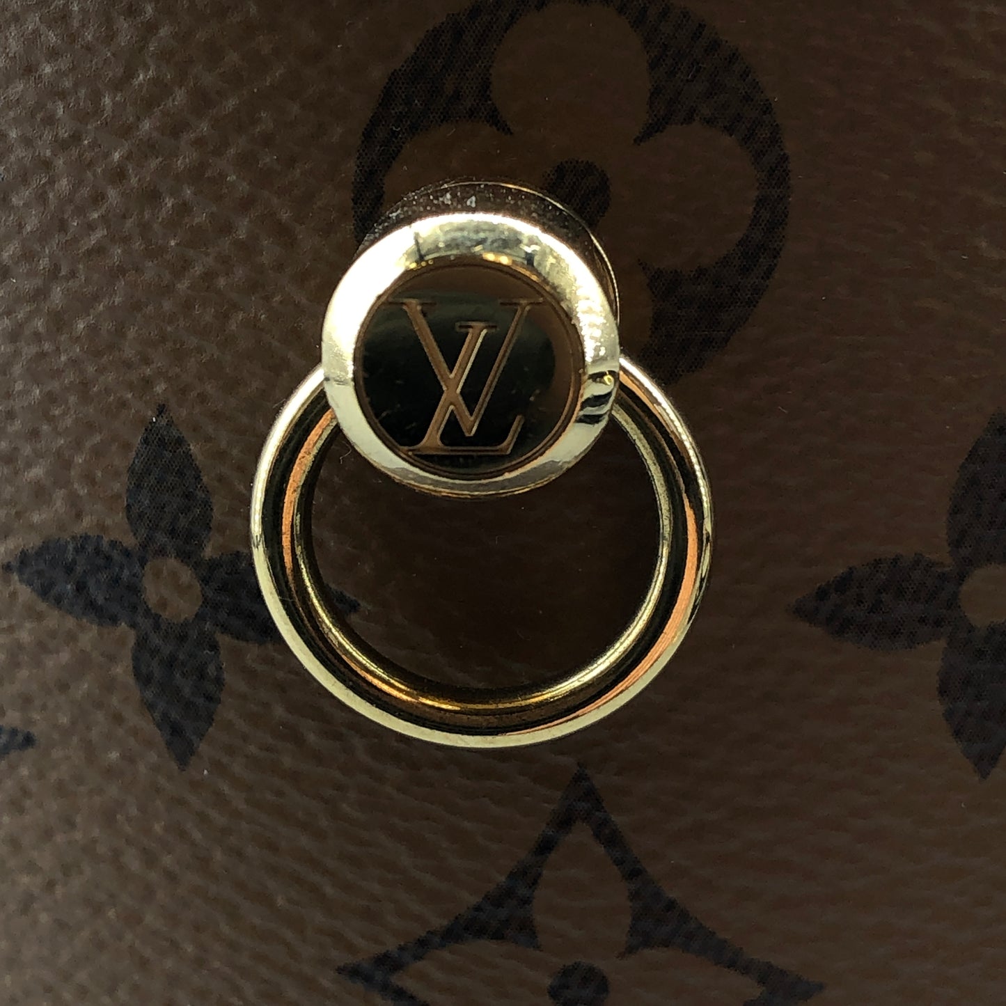 Louis Vuitton Cannes Monogram Canvas Bucket Bag Brown