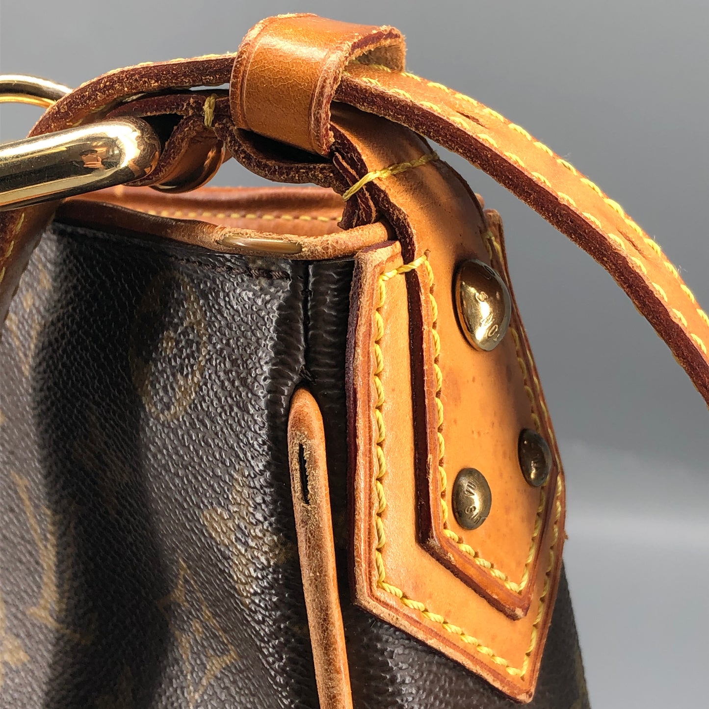 Louis Vuitton Monogram Hudson GM Bag Brown