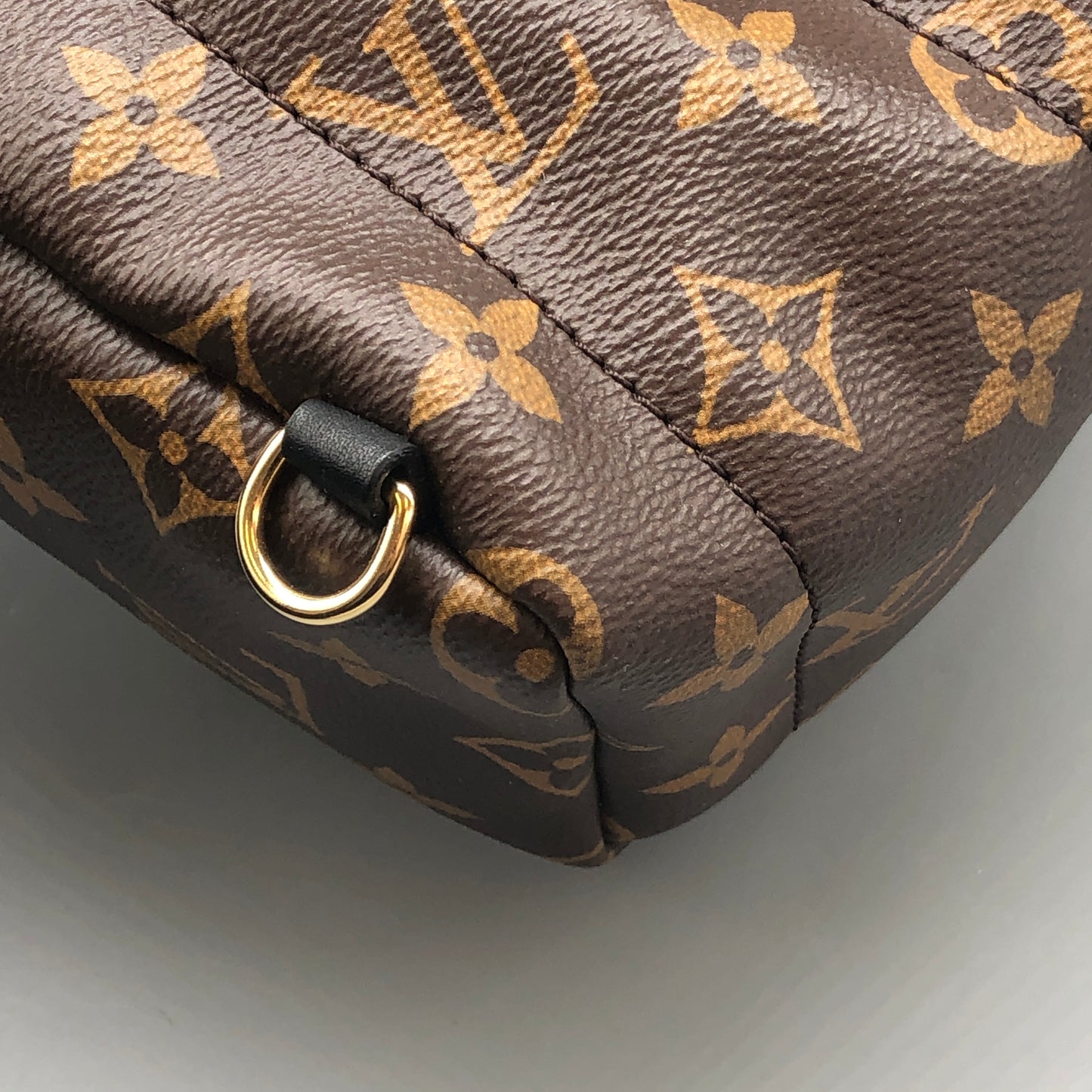 Louis Vuitton Palm Springs Mini Backpack Bag