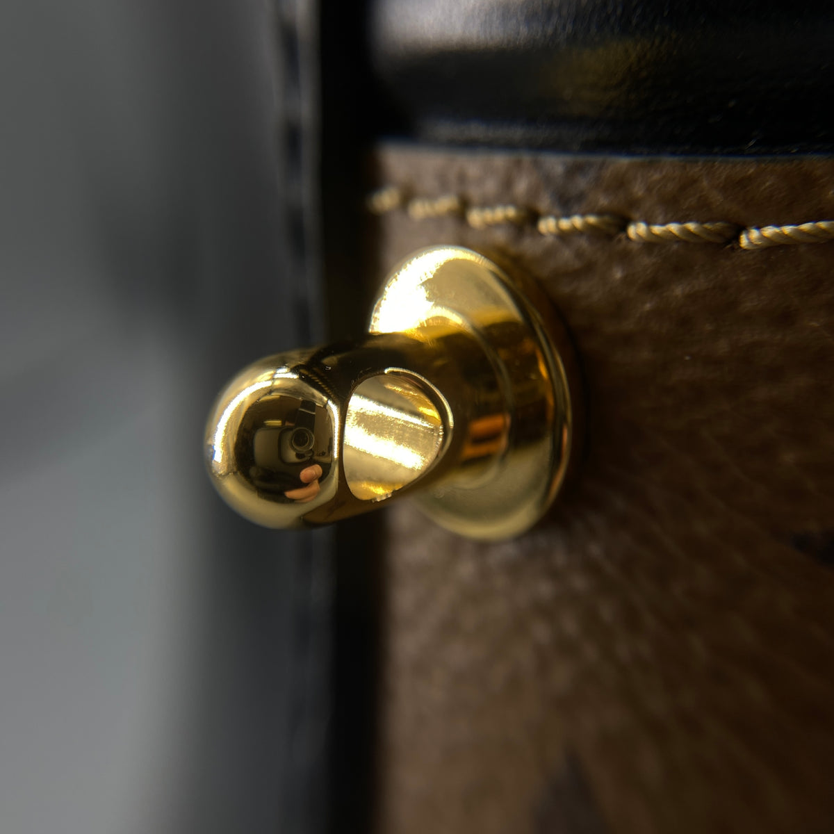 Louis Vuitton Reverse Monogram Cannes Bucket Bag