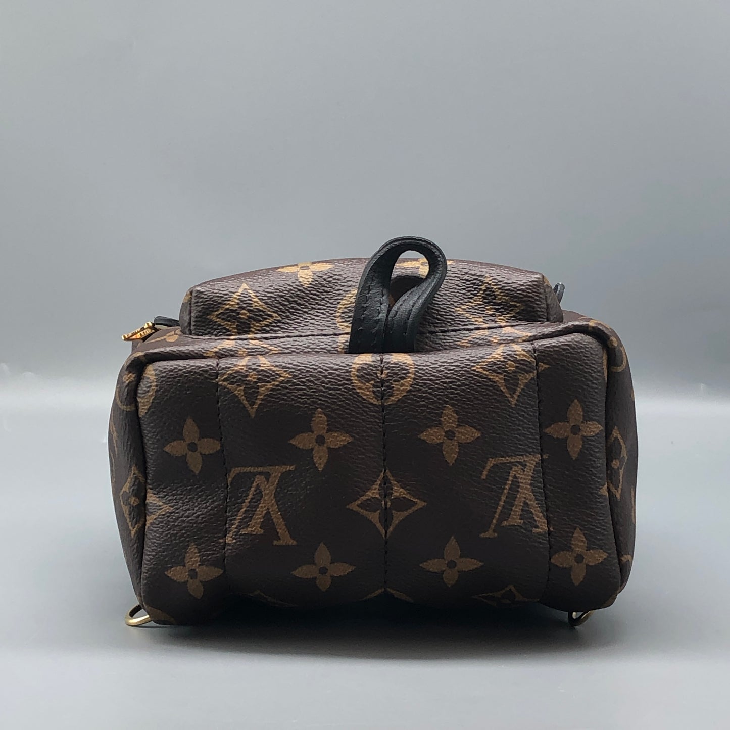 Louis Vuitton Palm Springs Mini Backpack Bag
