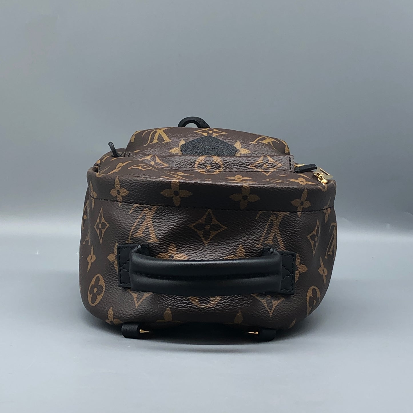 Louis Vuitton Palm Springs Mini Backpack Bag