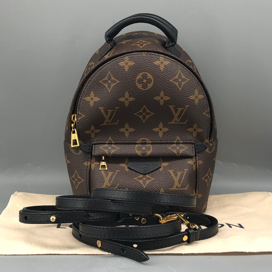 Louis Vuitton Palm Springs Mini Backpack Brown