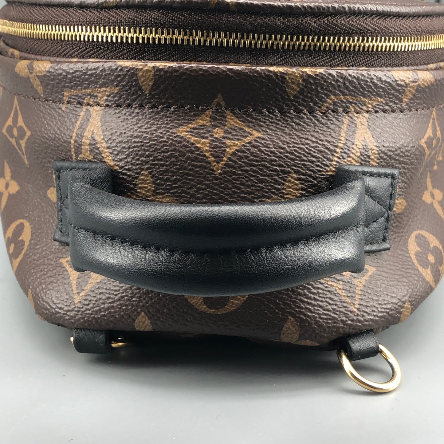 Louis Vuitton Mini Monogram Palm Spring Canvas Backpack Brown