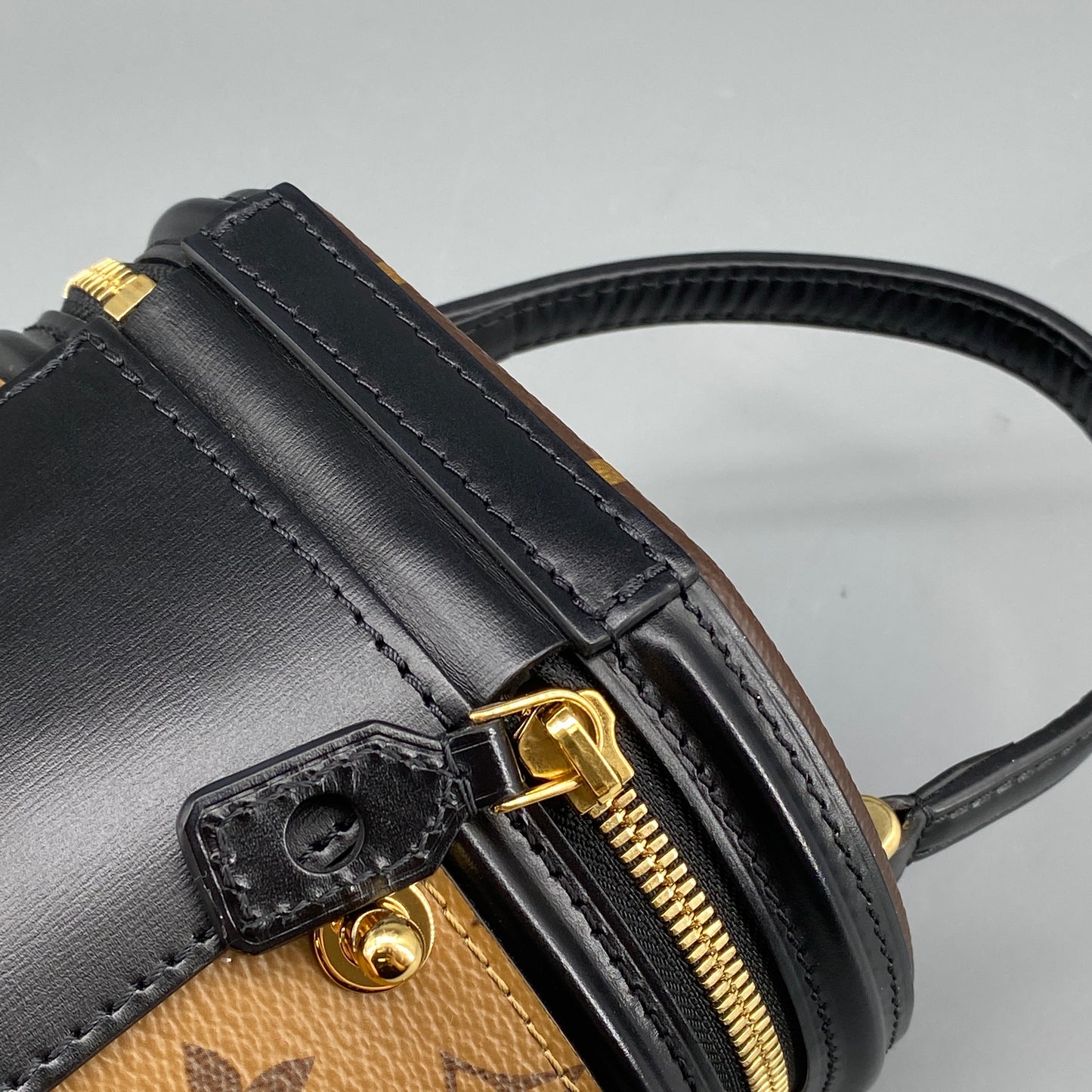 Louis Vuitton Brown Monogram Cannes Vanity Bucket Bag
