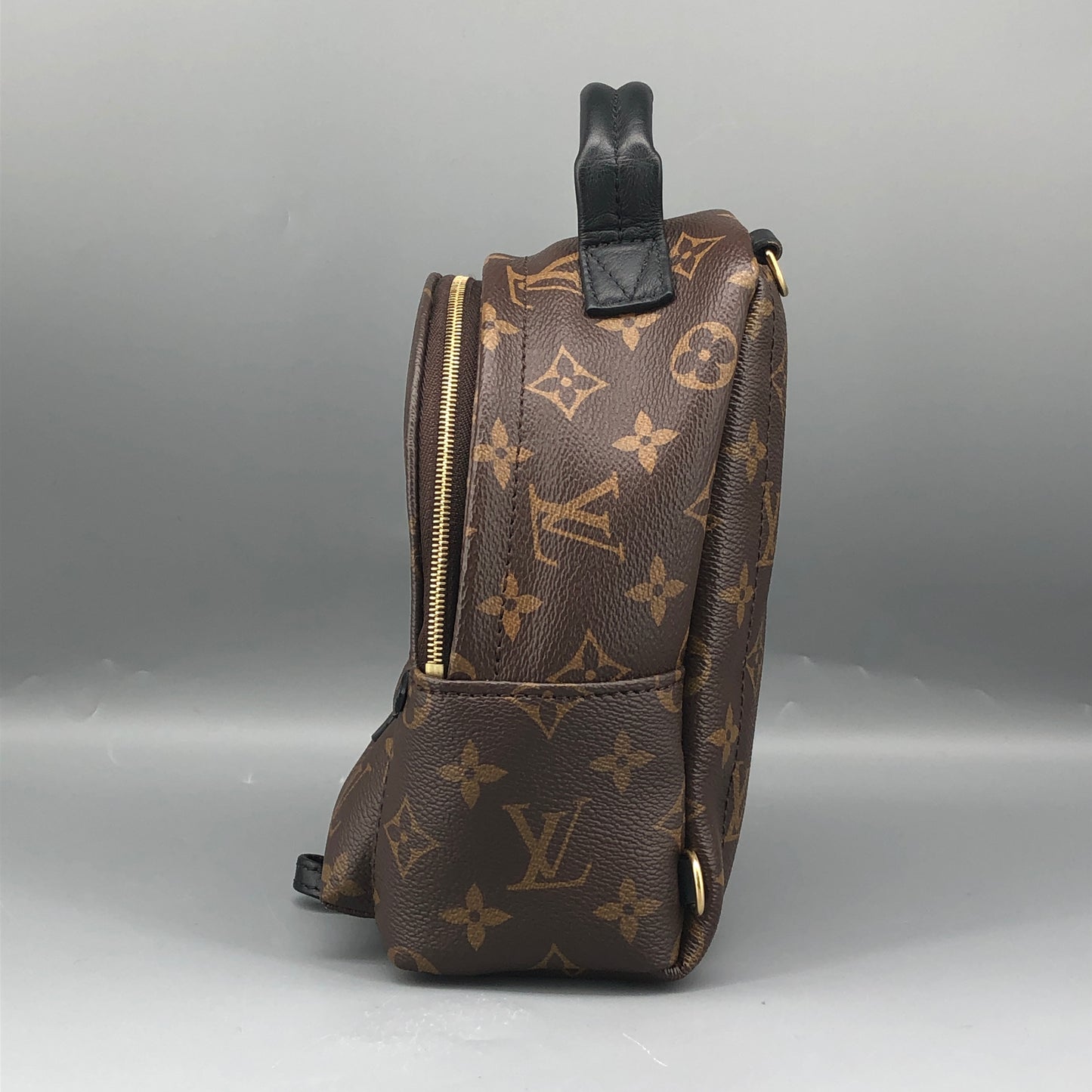Louis Vuitton Mini Monogram Palm Spring Canvas Backpack Brown
