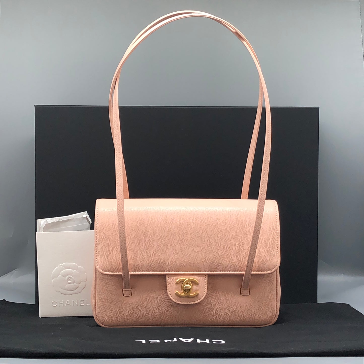 Chanel NWT Preppy Coco Blush Pink Shoulder Bag