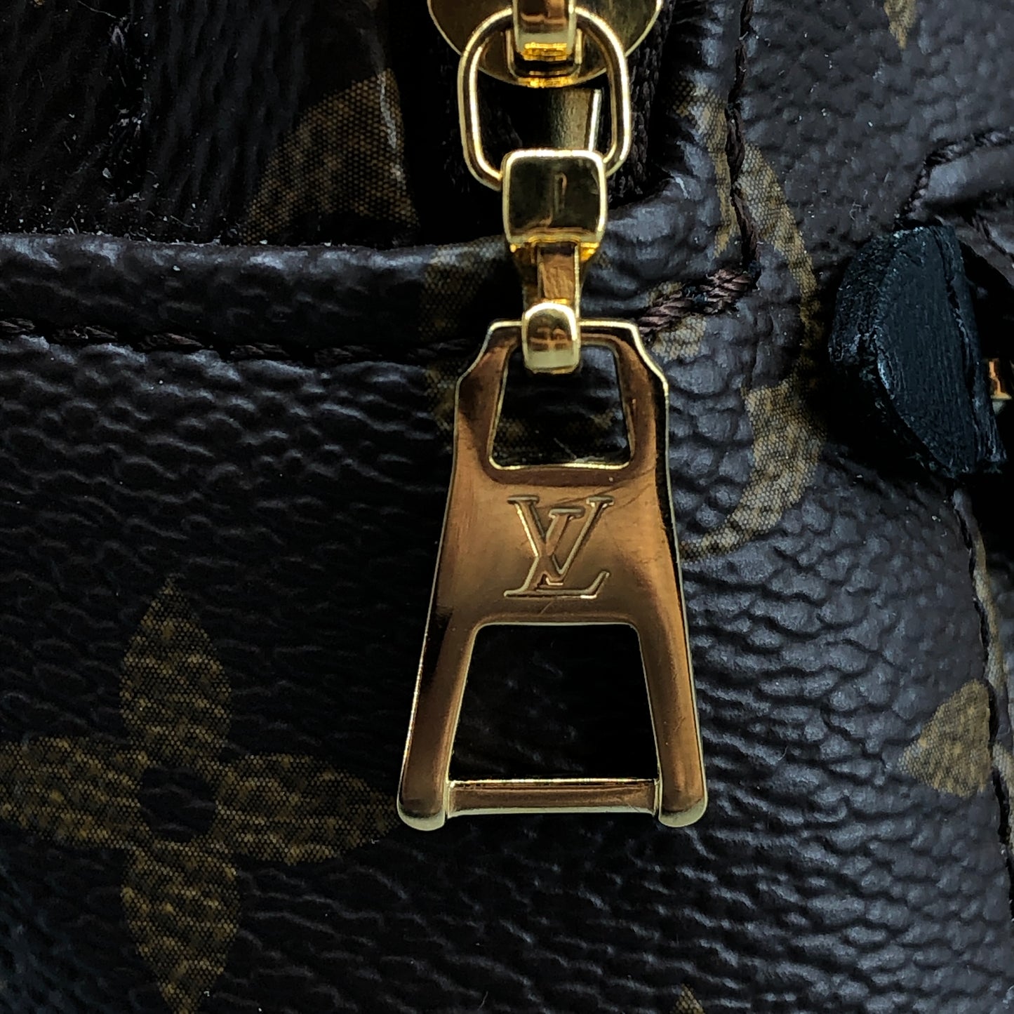 Louis Vuitton Mini Monogram Palm Spring Canvas Backpack Brown