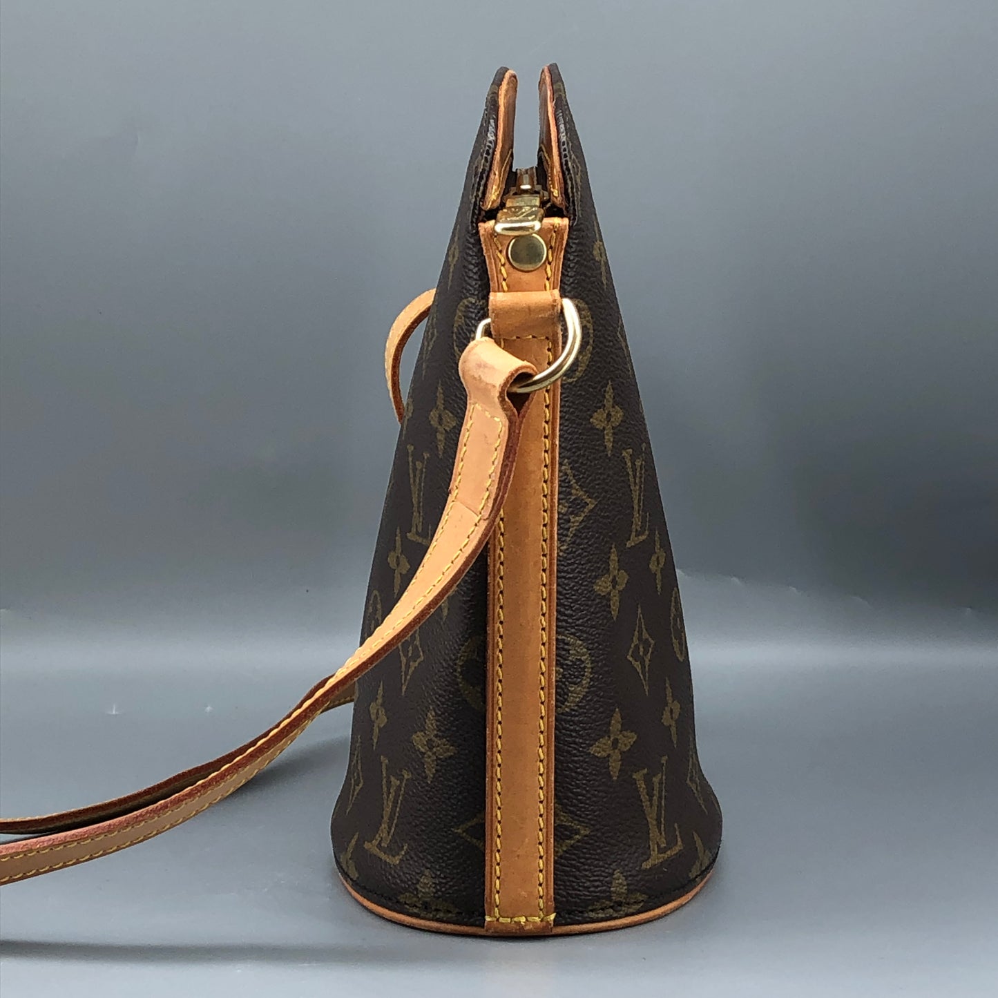 Louis Vuitton Brown Monogram Drouout Crossbody Bag