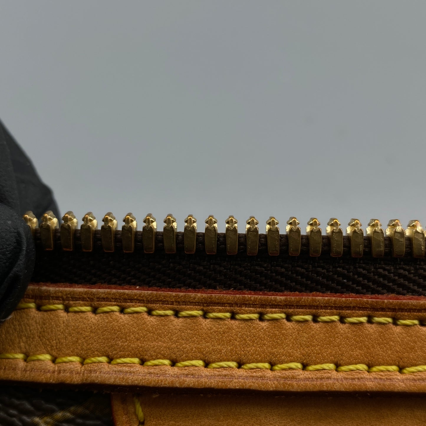 Louis Vuitton Monogram  Palermo Shoulder bag