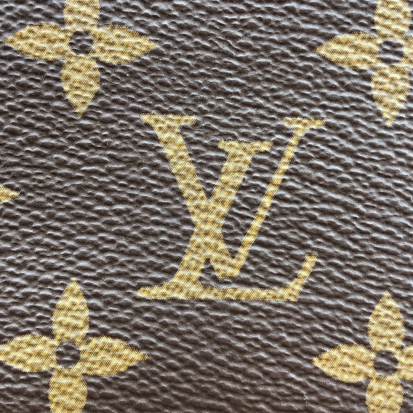 Louis Vuitton Vanity PM Monogram Canvas Bag