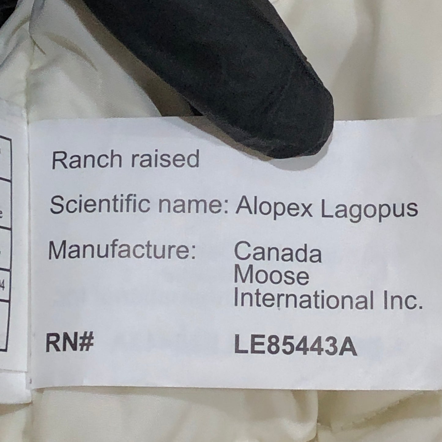 Moose Knuckles White Hooded Down Jacket Size L