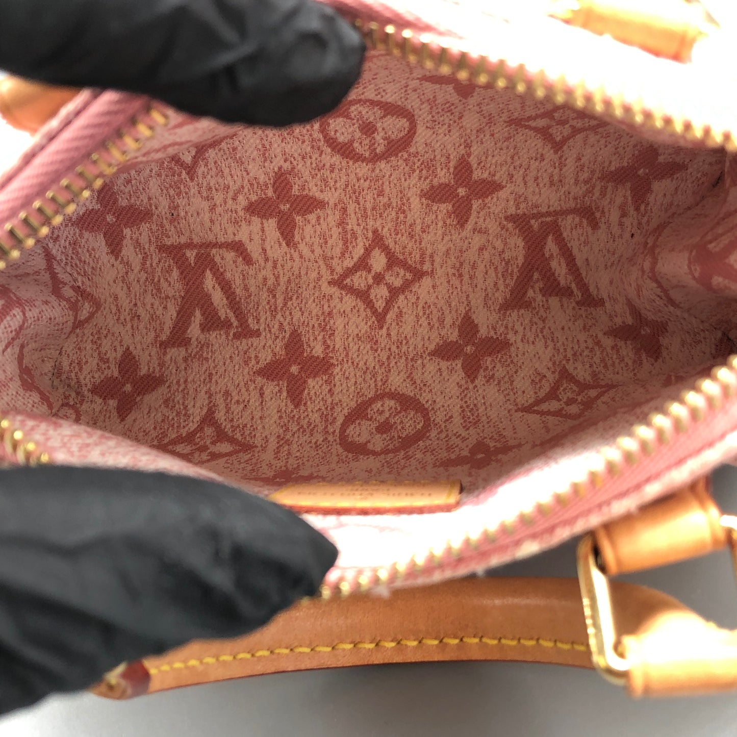 Louis Vuitton Nano Speedy Light Pink Monogram Denim Handbag
