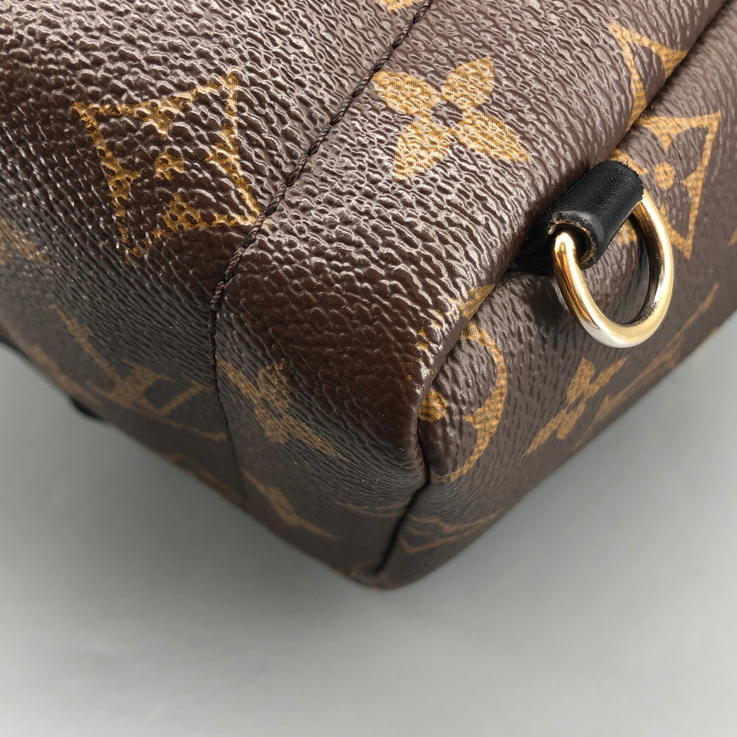 Louis Vuitton Palm Springs Mini Backpack Brown