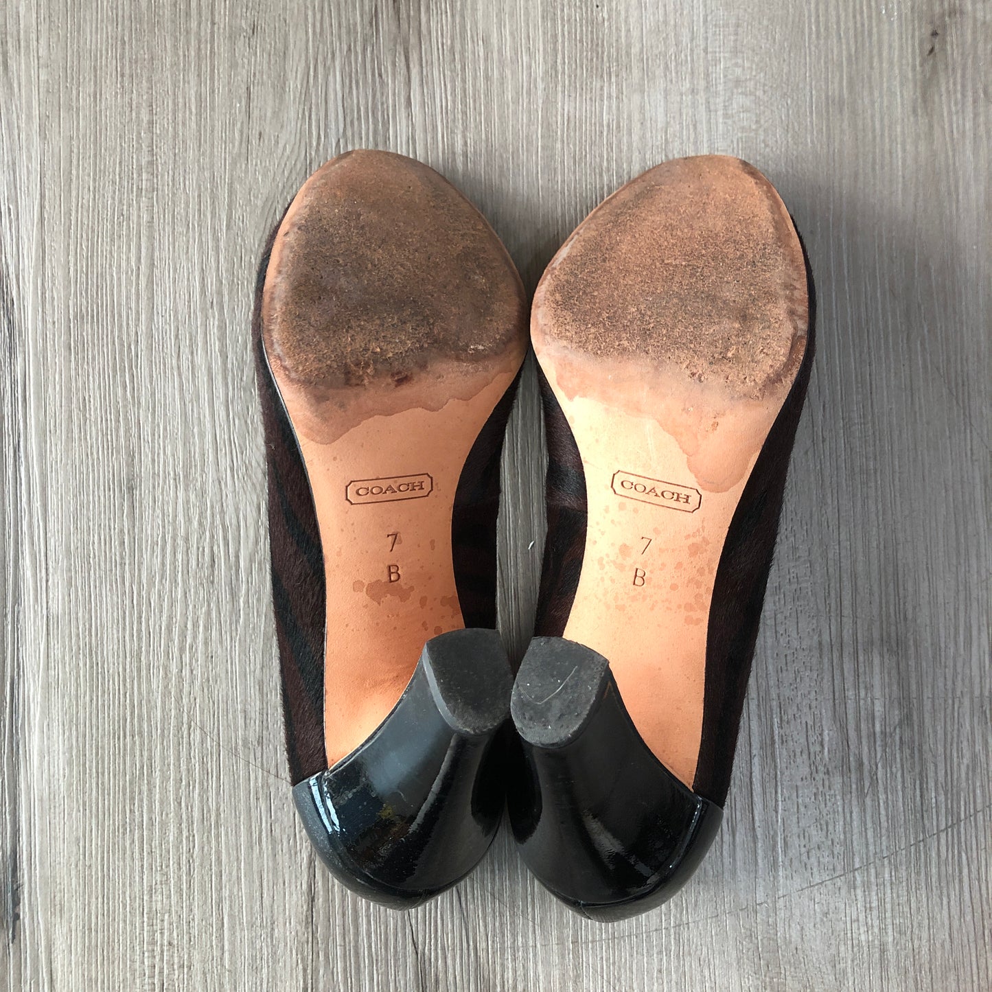 Coach Women's Signature C Print Pointed Toe Stiletto Pumps Size 7B Black Brown