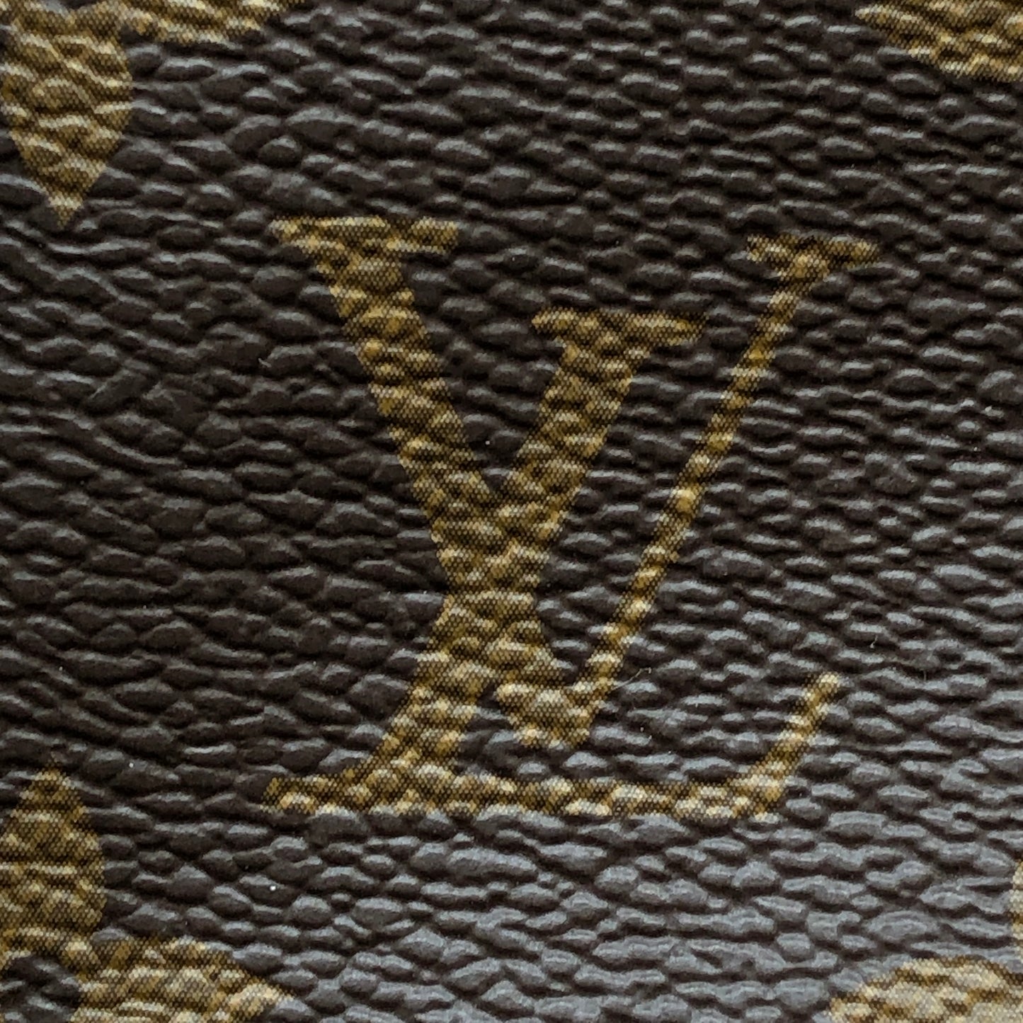 Louis Vuitton Mini Monogram Palm Spring Canvas Backpack Brown