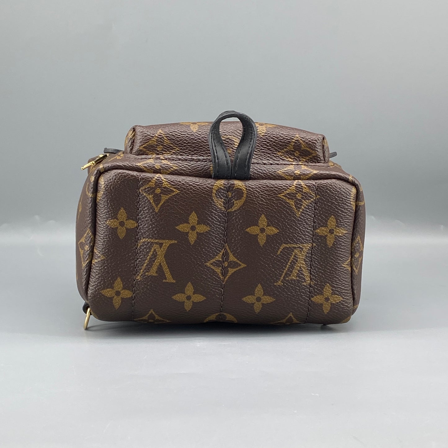 Louis Vuitton Palm Springs Mini Monogram Backpack Bag