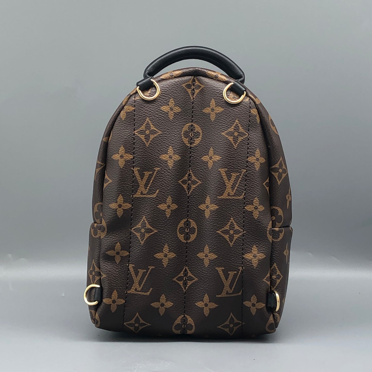 Louis Vuitton Palm Springs Mini Backpack Bag