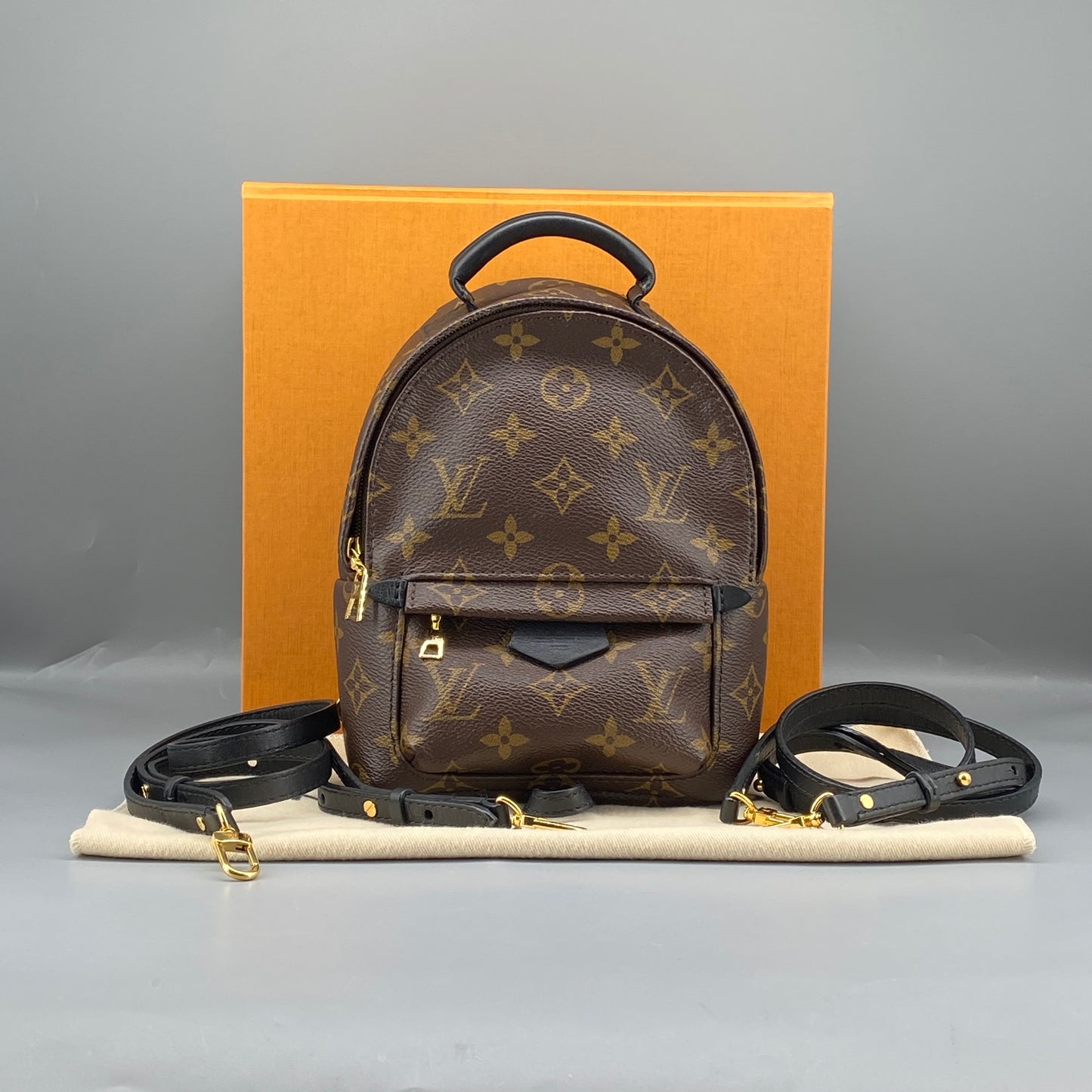 Louis Vuitton Palm Springs Mini Monogram Backpack Bag