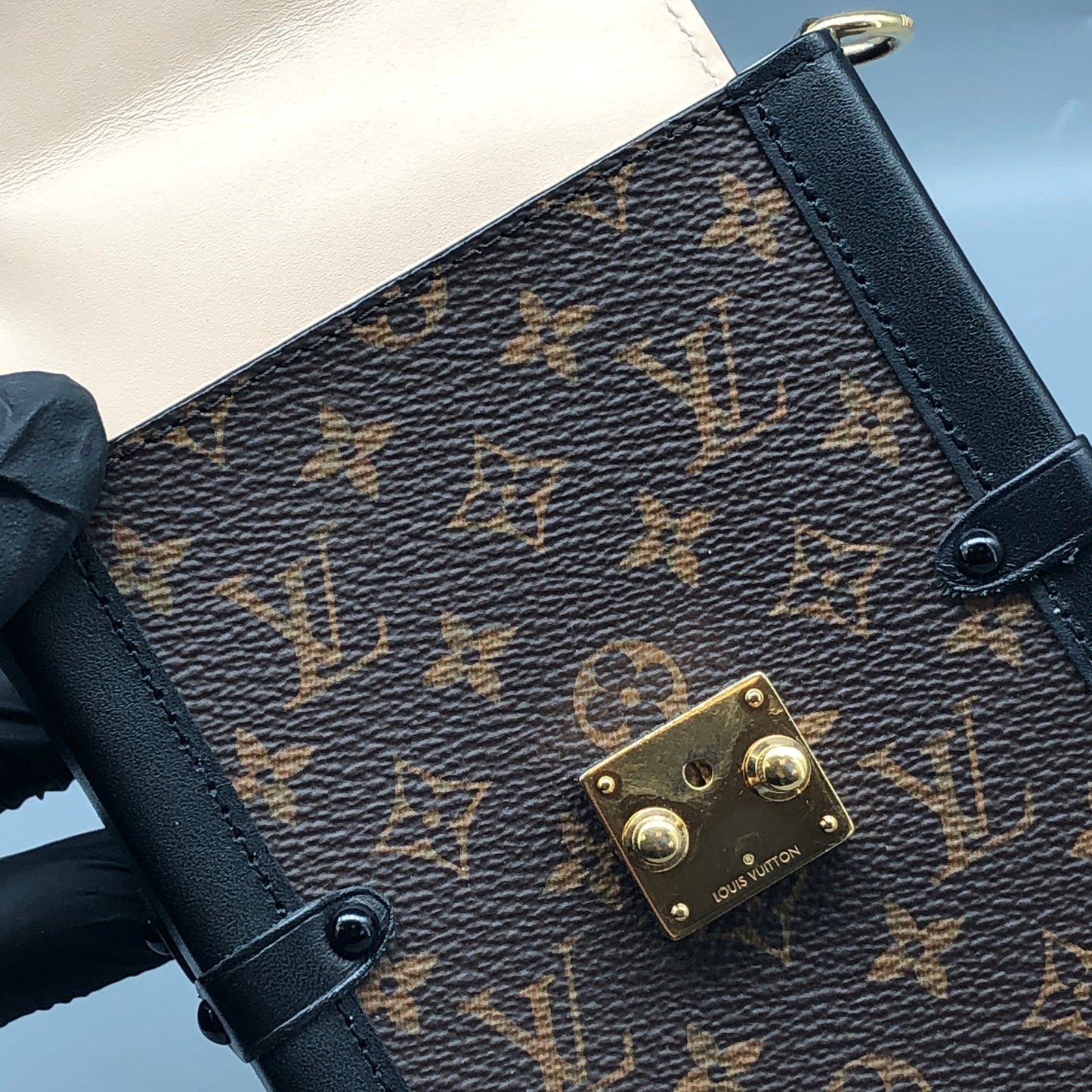 Louis Vuitton Monogram Canvas Petite Malle Phone Case Brown Bag
