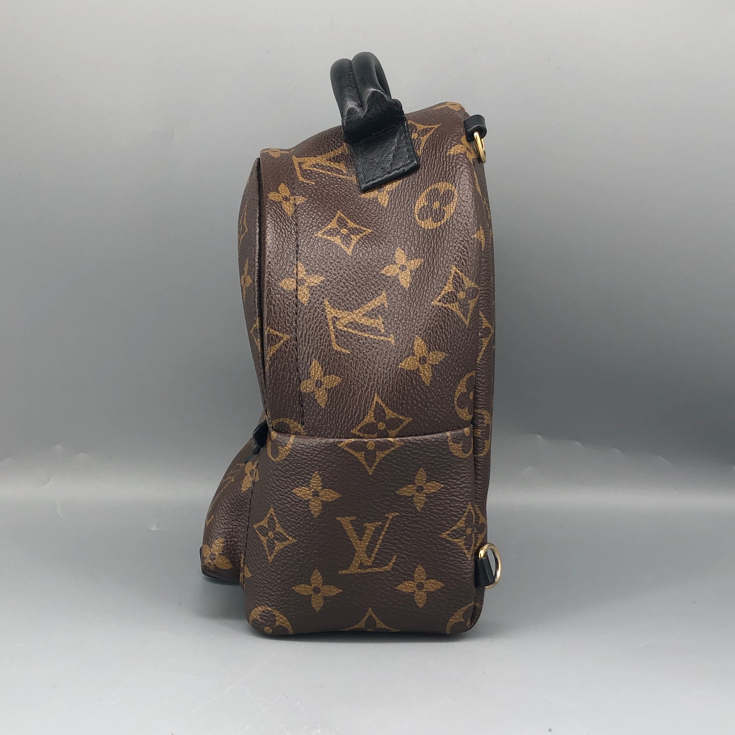 Louis Vuitton Palm Springs Mini Backpack Brown