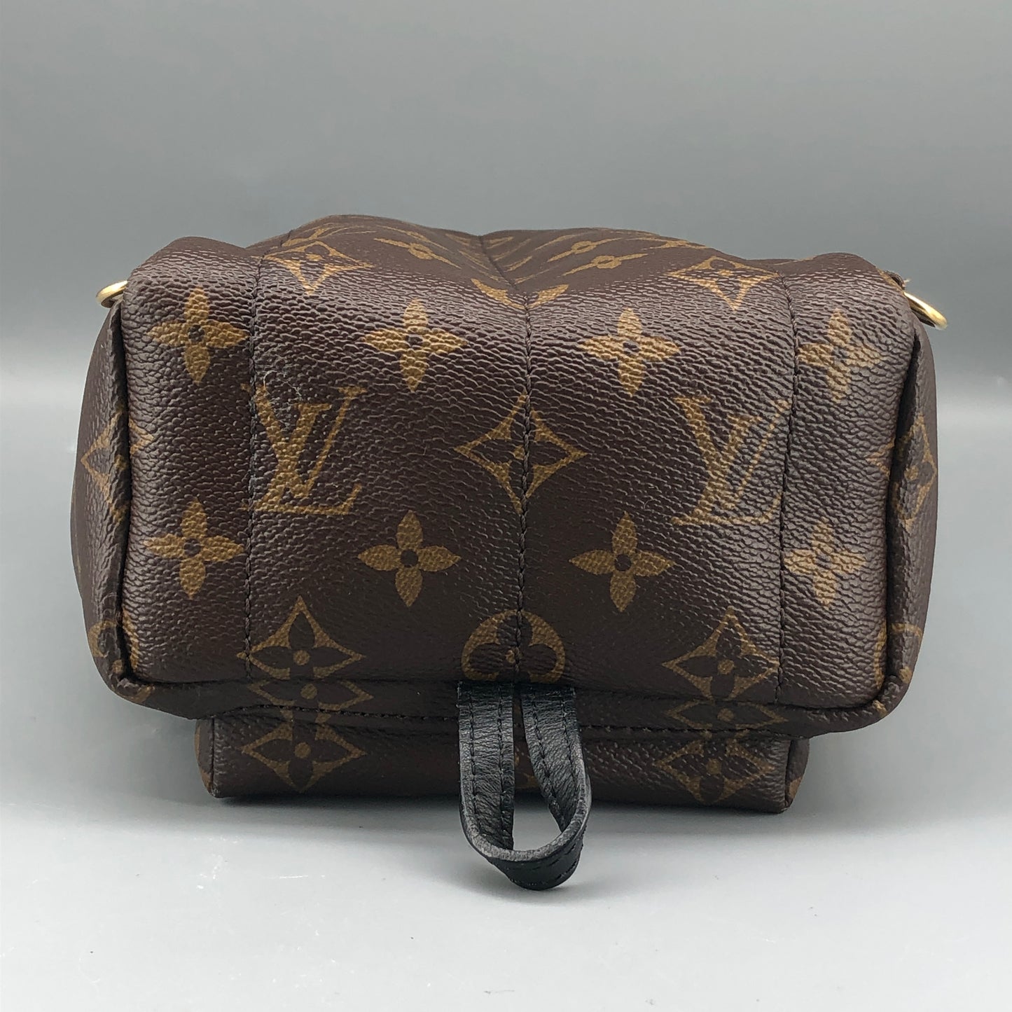 Louis Vuitton Mini Monogram Palm Spring Canvas Backpack Brown