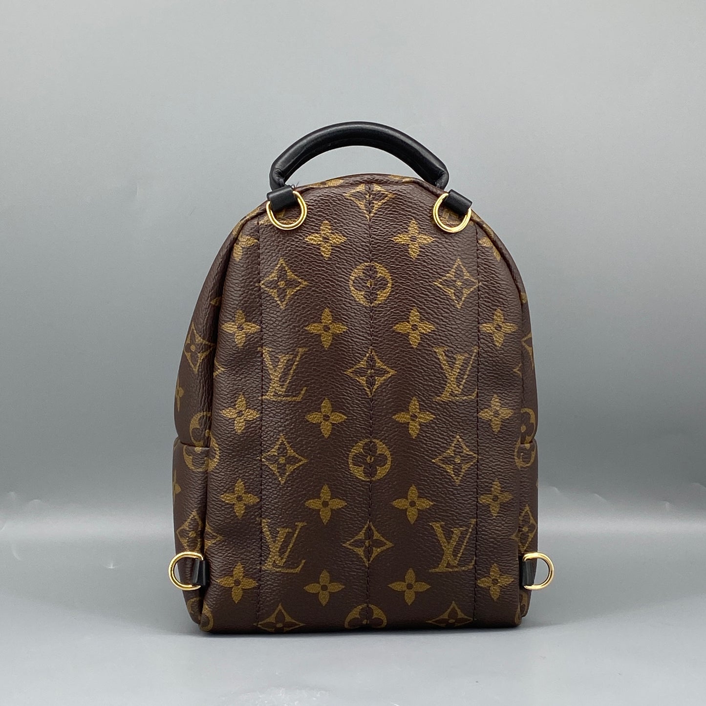 Louis Vuitton Palm Springs Mini Monogram Backpack Bag