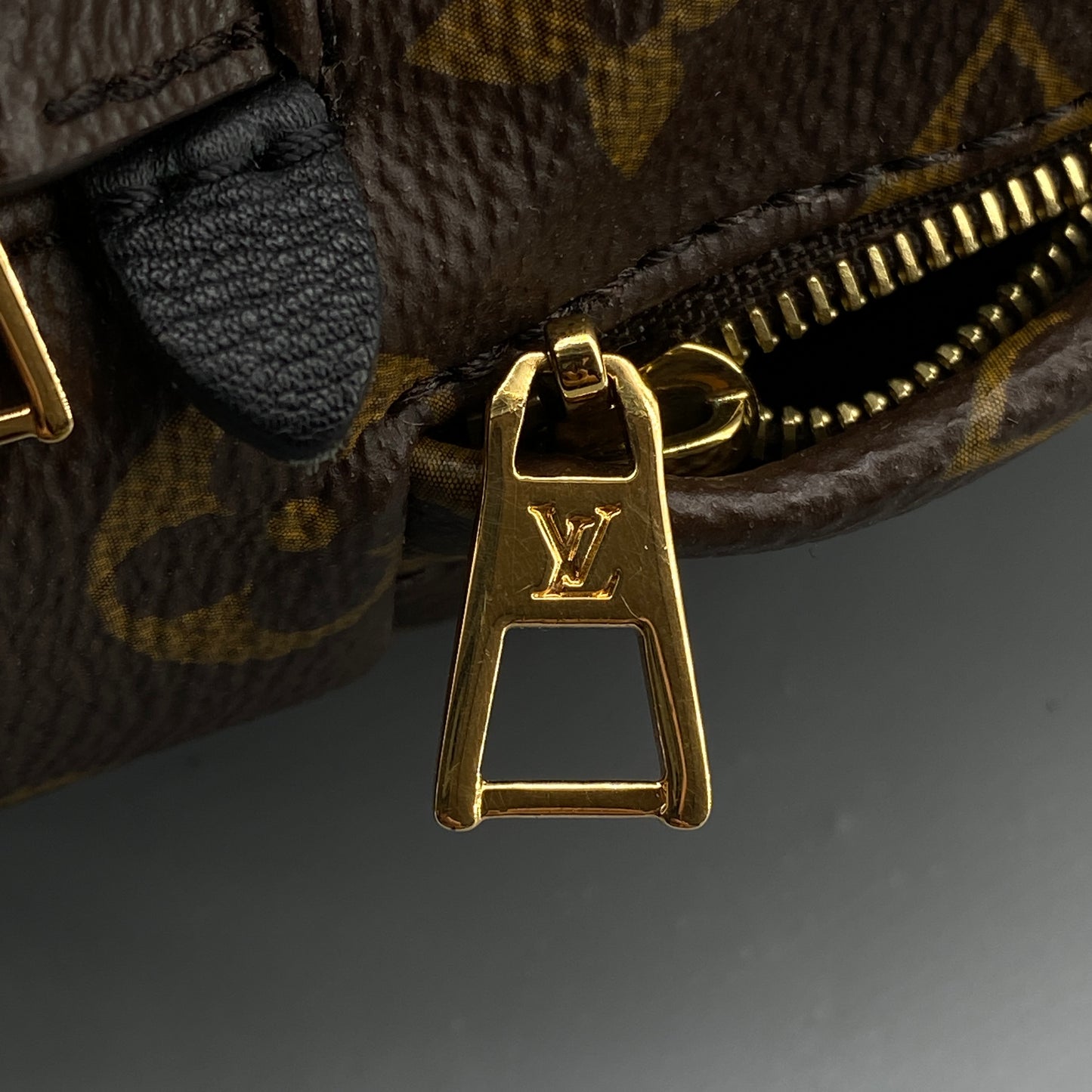 Louis Vuitton Mini Palm Springs Brown Monogram Canvas Backpack