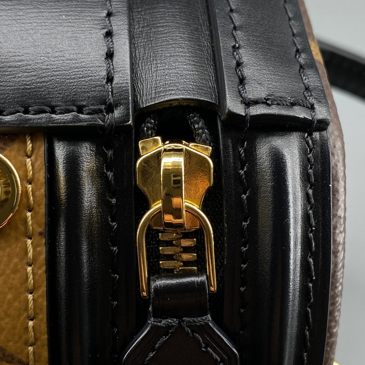 Louis Vuitton Brown Monogram Cannes Vanity Bucket Bag