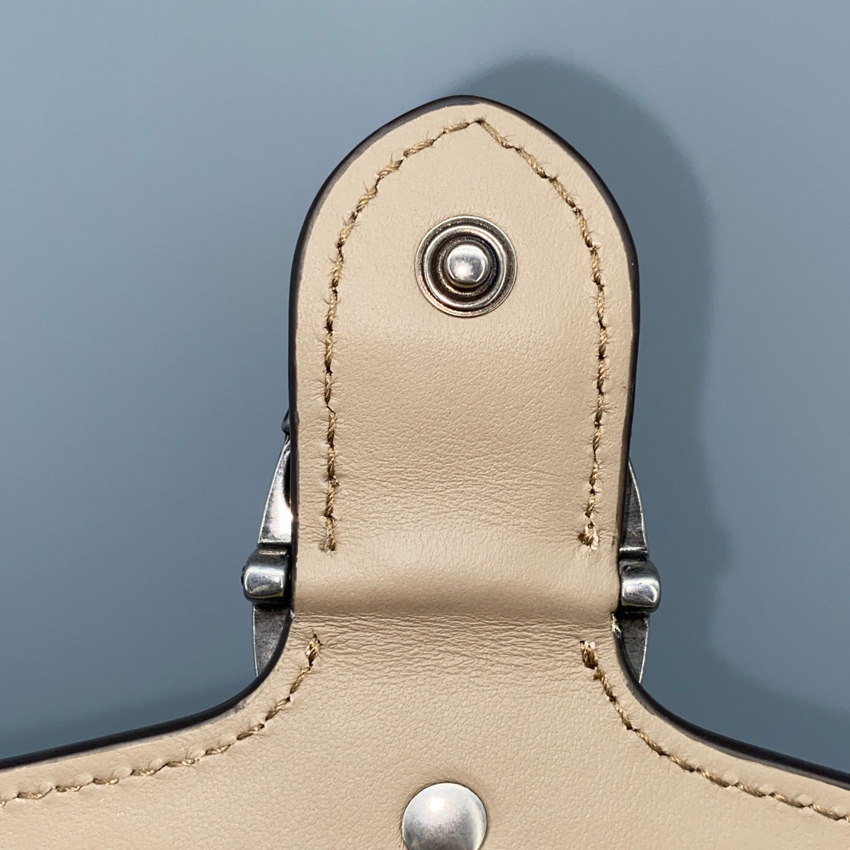 Gucci Beige GG Supreme Dionysus Chain Crossbody Bag