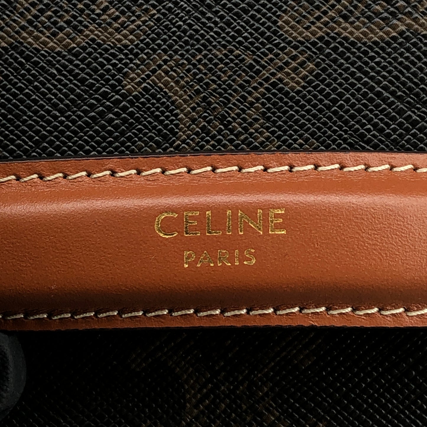 Celine Triomphe Canvas Vanity Case Bag Dark Brown