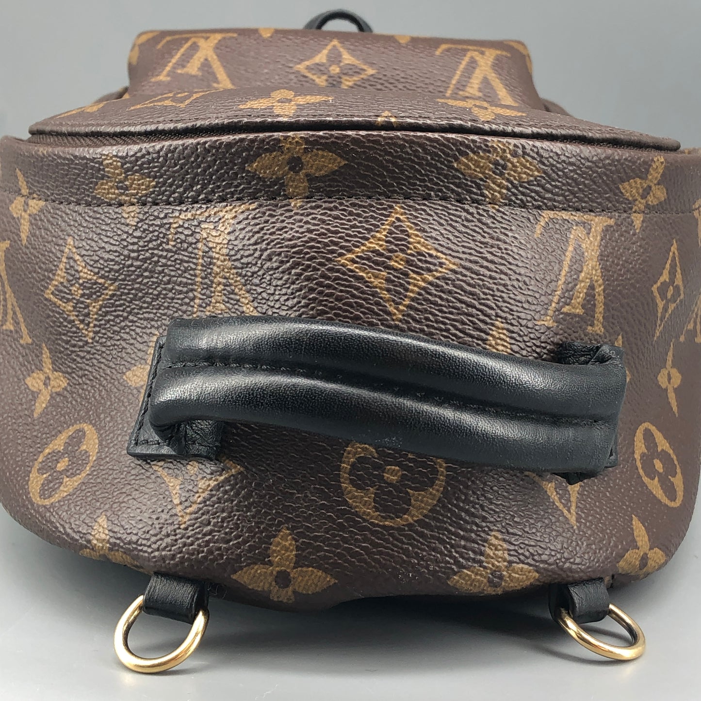 Louis Vuitton Palm Springs Mini Backpack Brown