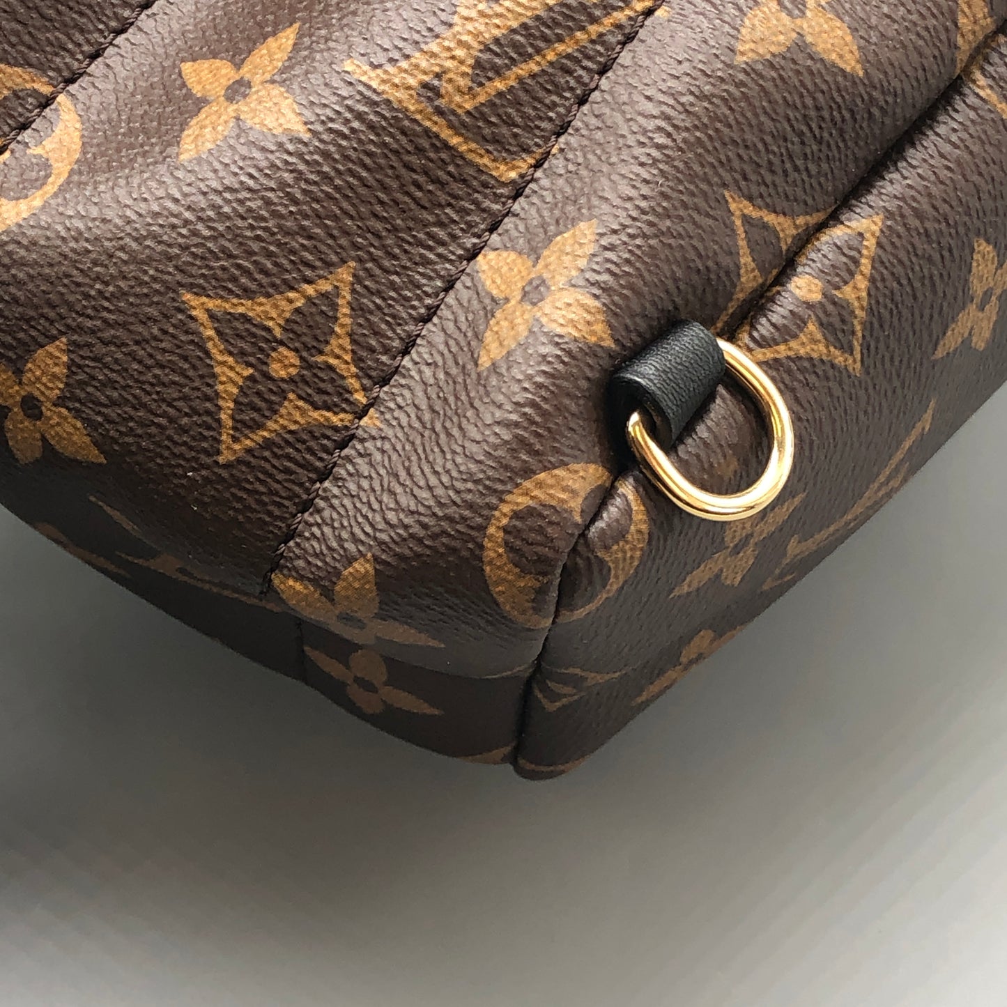 Louis Vuitton Palm Springs Mini Backpack Bag