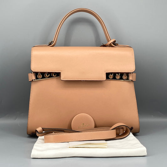 Delvaux Nude Tempete Handbag