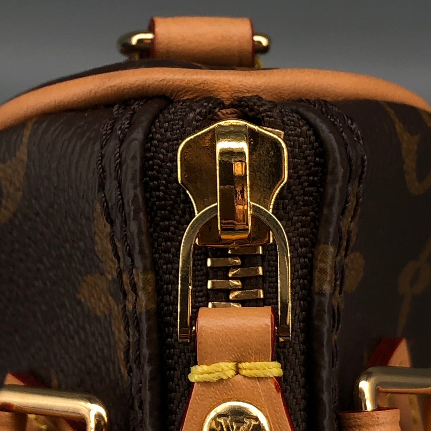 Louis Vuitton Speedy Nano Brown