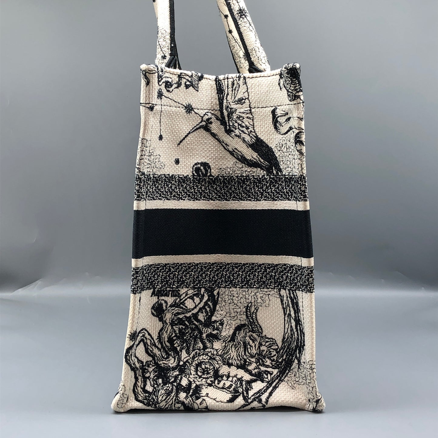 Christian Dior Book Tote Around The World Print Tote Bag White/Black
