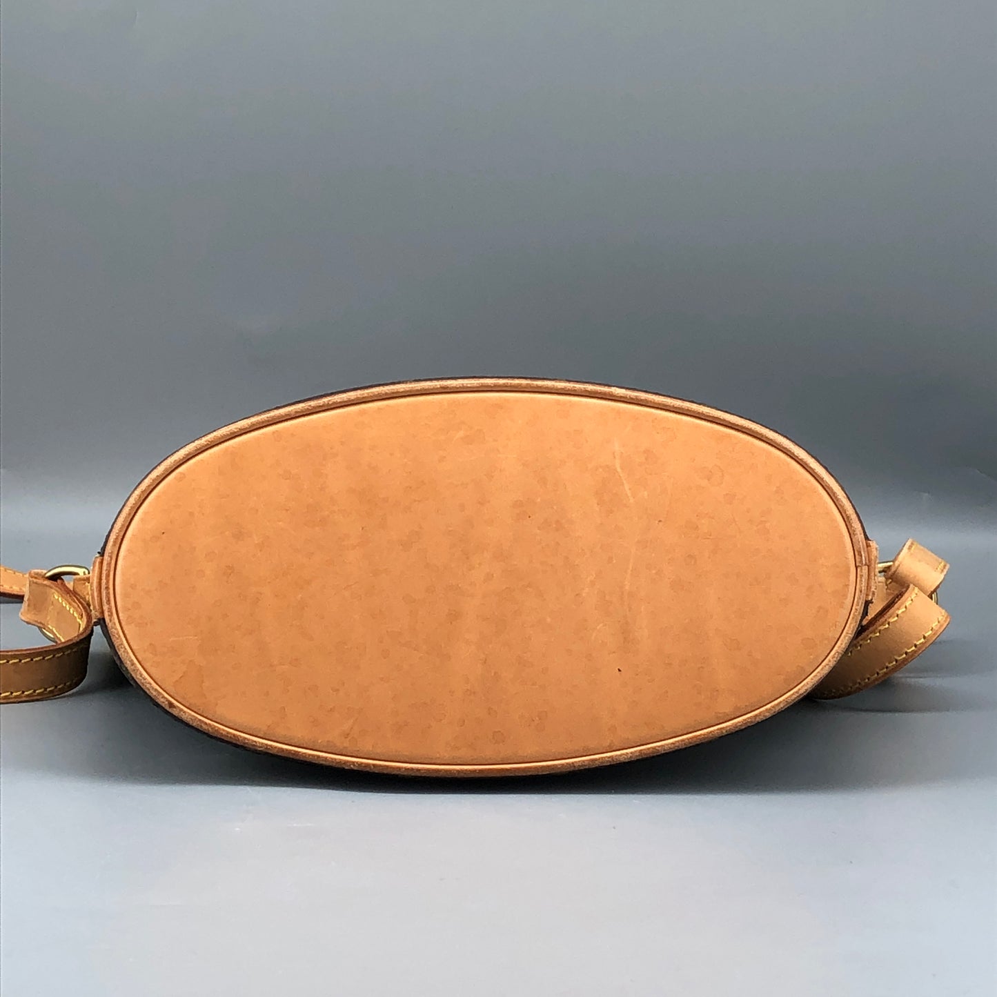 Louis Vuitton Brown Monogram Drouout Crossbody Bag