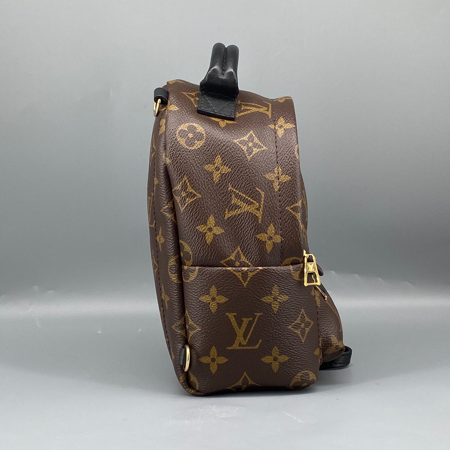 Louis Vuitton Palm Springs Mini Monogram Backpack Bag