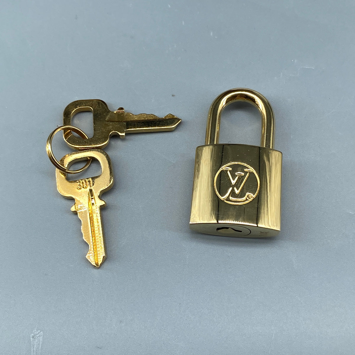 Louis Vuitton Reverse Monogram Cannes Bucket Bag
