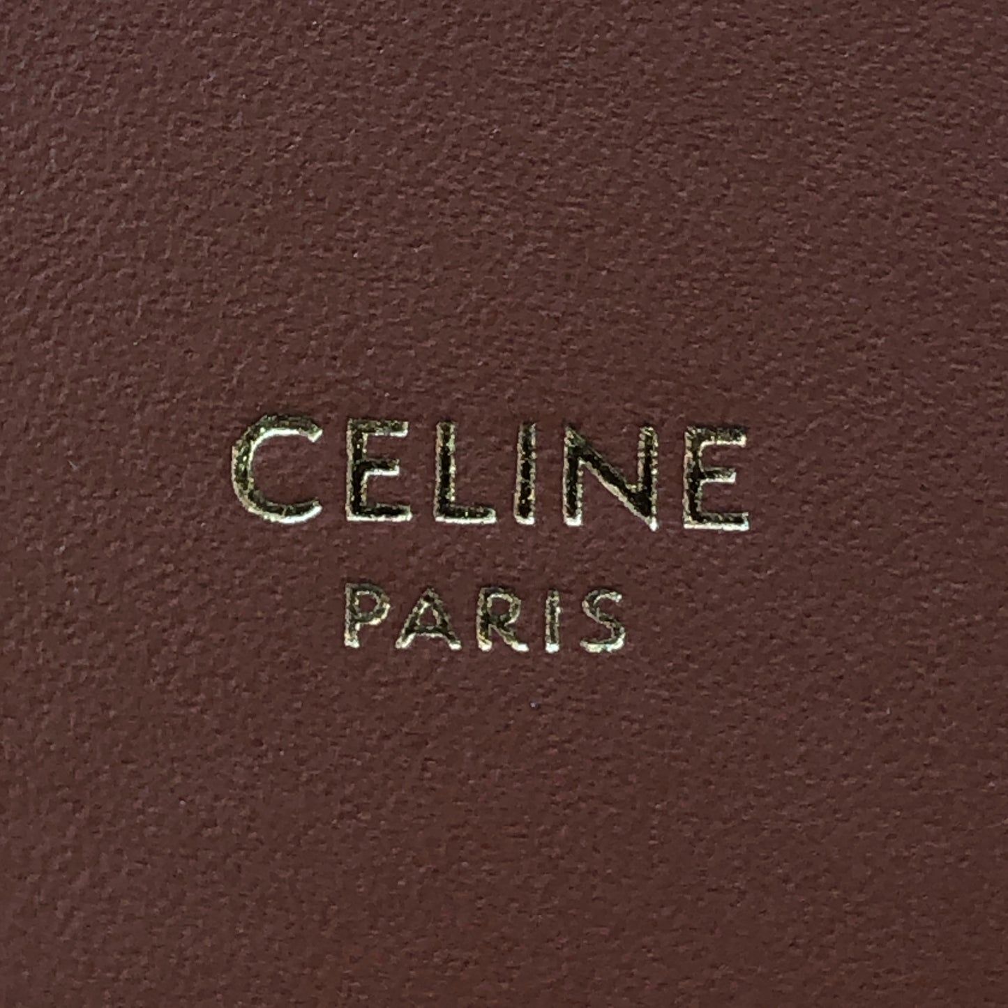 Celine Triomphe Canvas Vanity Case Bag Dark Brown