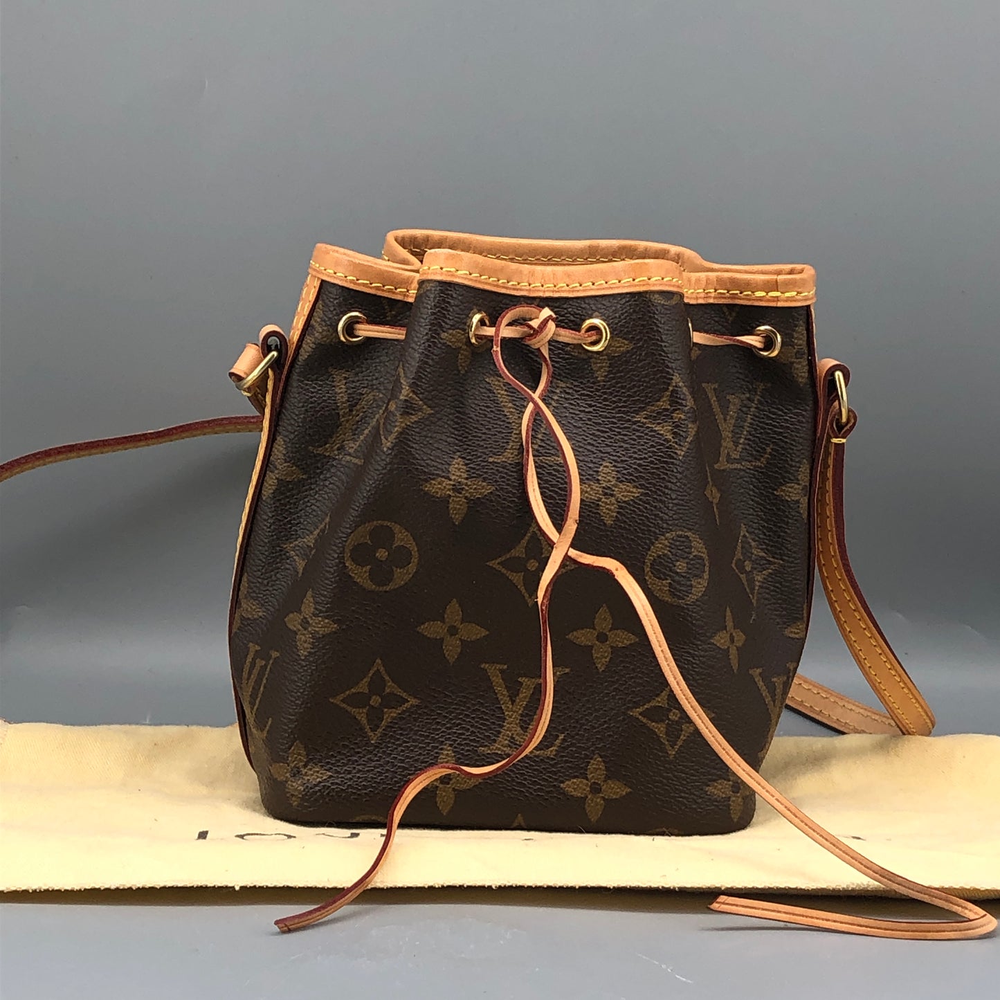 Louis Vuitton Classic Monogram Nano Noé Bucket Drawstring Crossbody Bag