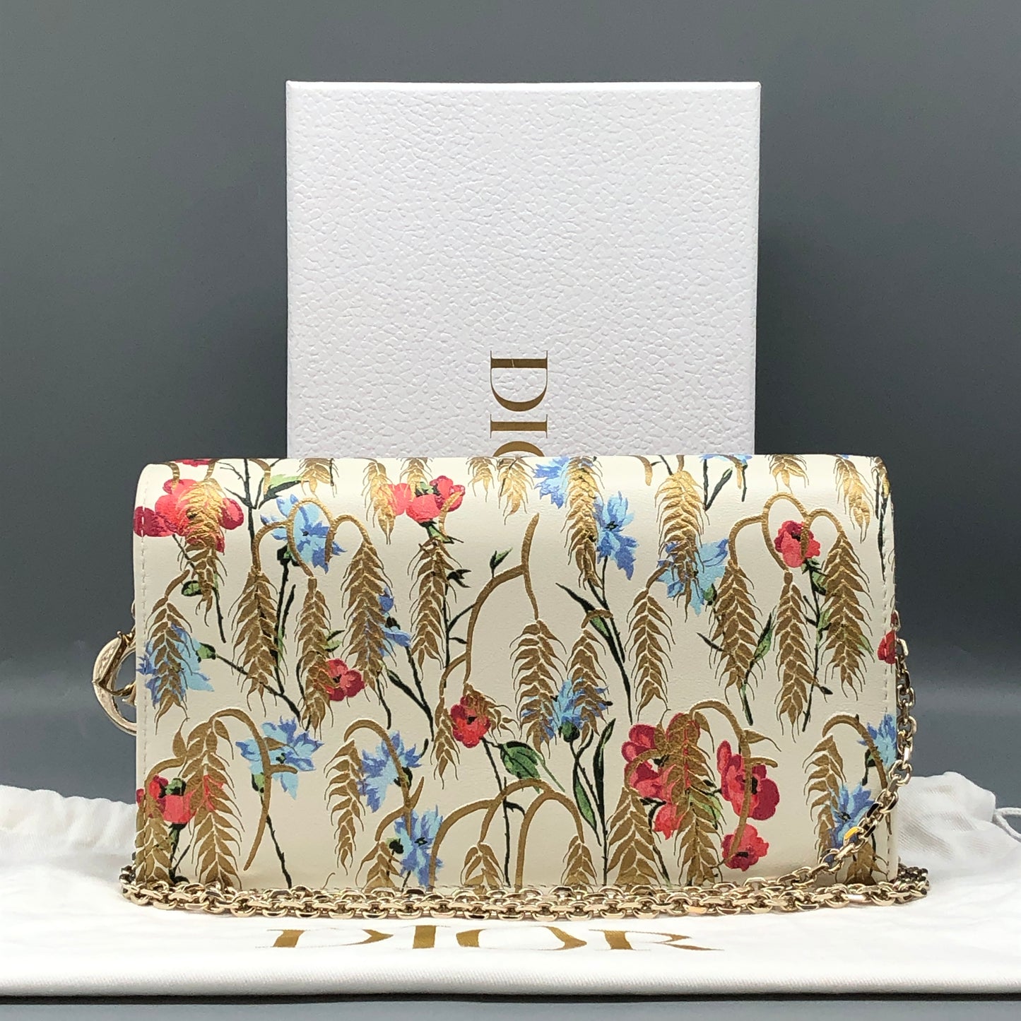 Christian Dior Floral Print Chain Clutch Cream/Multi