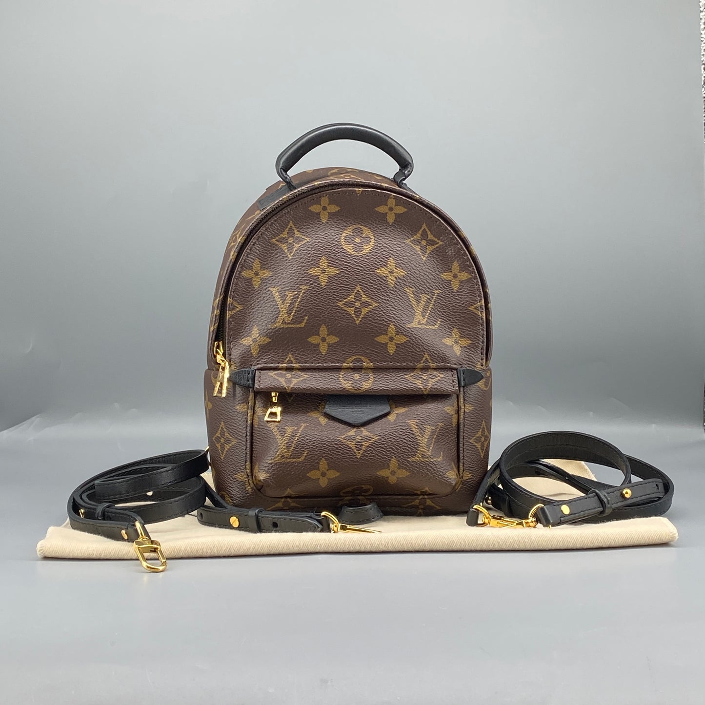 Louis Vuitton Palm Springs Mini Monogram Backpack Bag